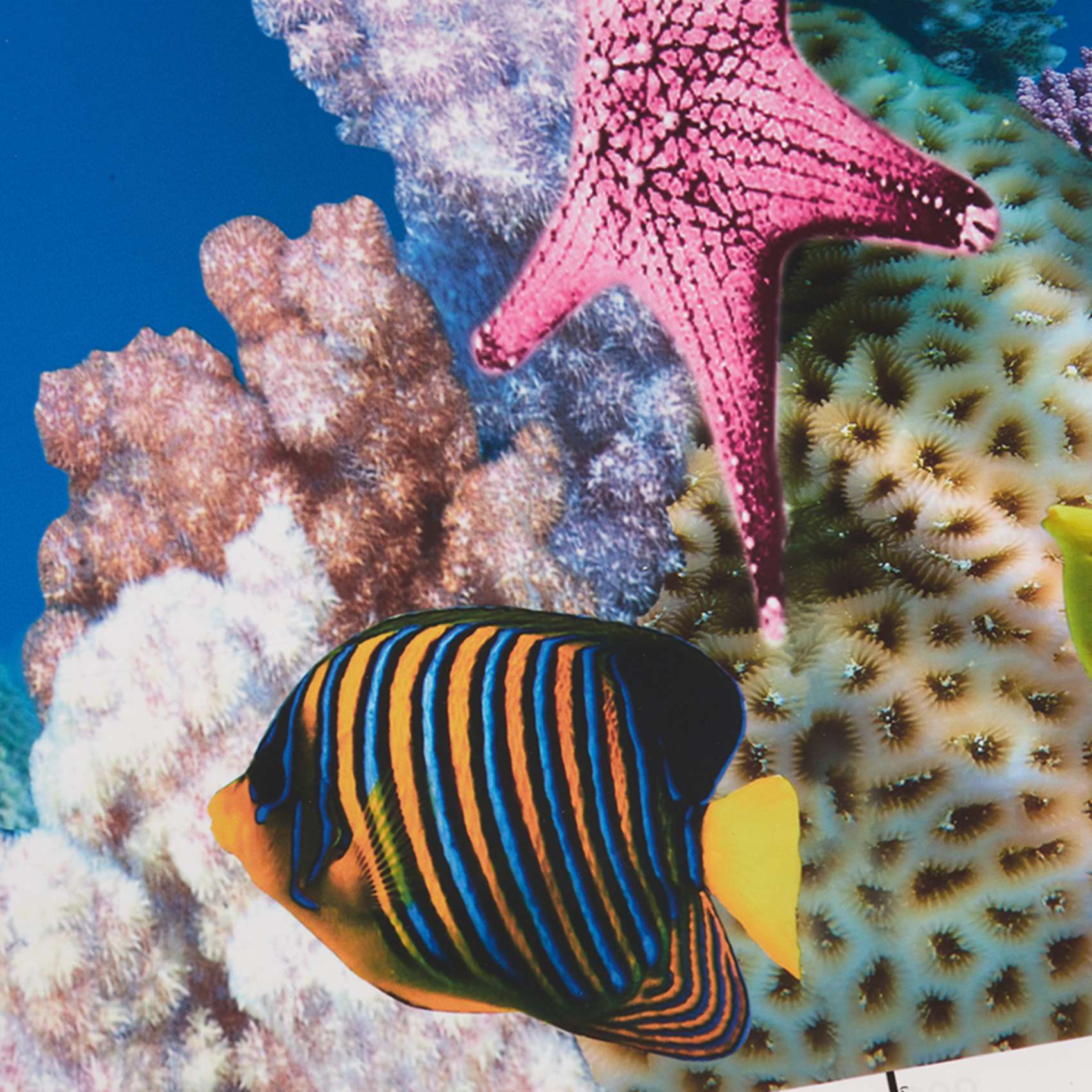 Aquarium Fish Wallpaper - ABWR-กระดาษพื้นหลังตู้ปลา ภาพ HD 7D วอลเปเปอร์ตู้ปลาสามมิติ ภาพพื้นหลังแบบวาดได้