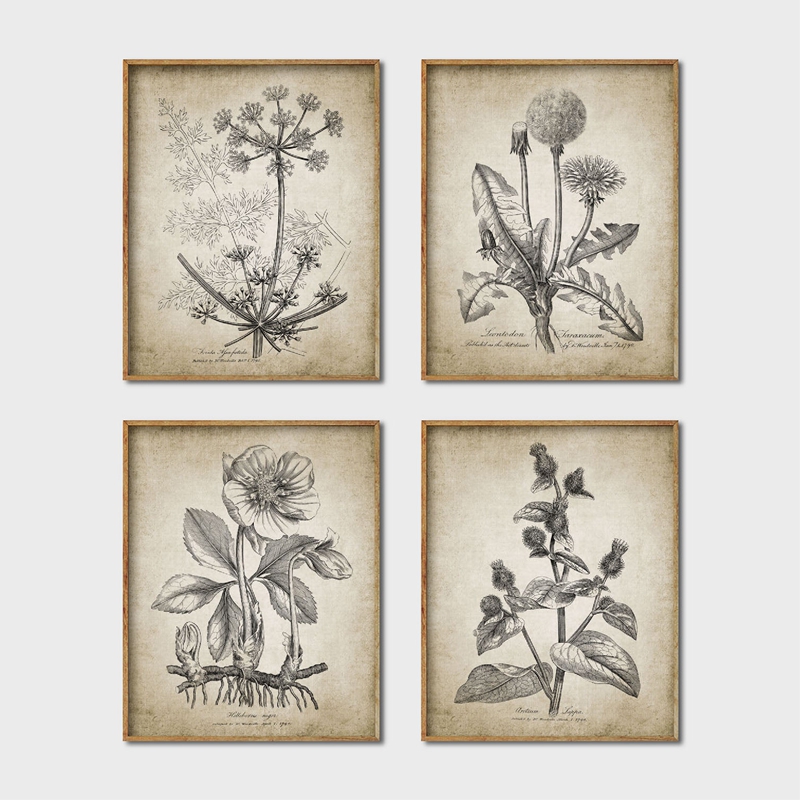 Live Plant Fertilizer - โบราณพฤกษศาสตร์โปสเตอร์และพิมพ์ Rustic Farmhouse ศิลปะบนผนังภาพวาดผ้าใบพืชสำหรับบ้านห้องนั่งเล่นเครื่องตกแต่งฝาผนัง