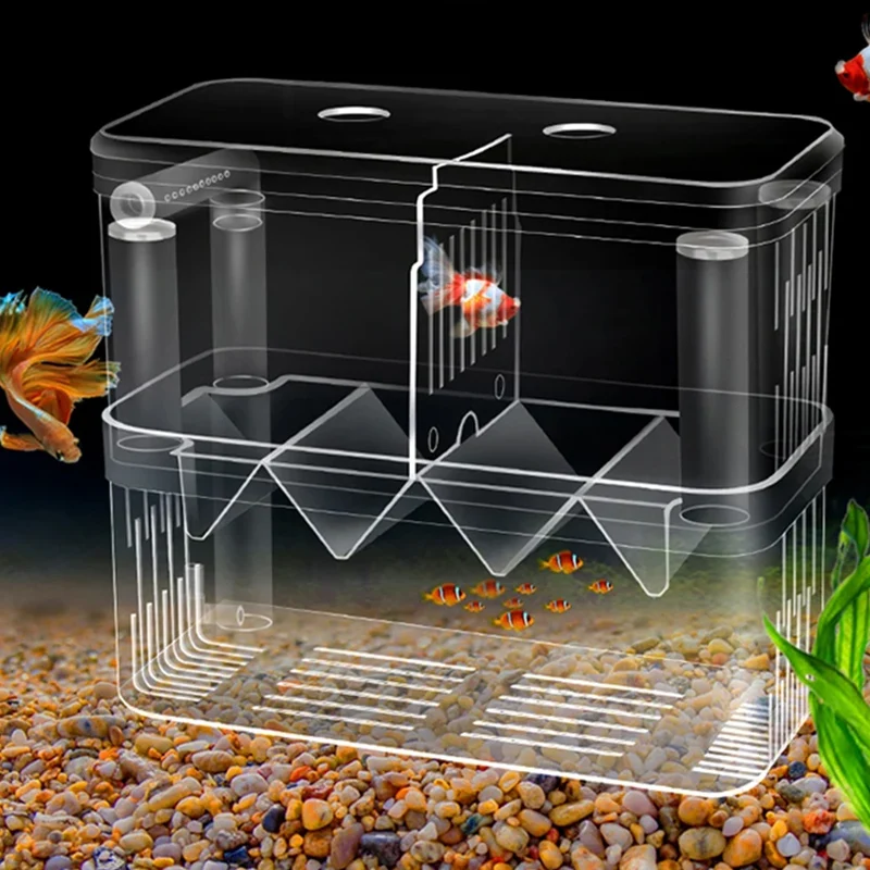 Xl Aquarium Fish - Fish Breeding กล่องแยก S/L/XL Aquarium อะคริลิค