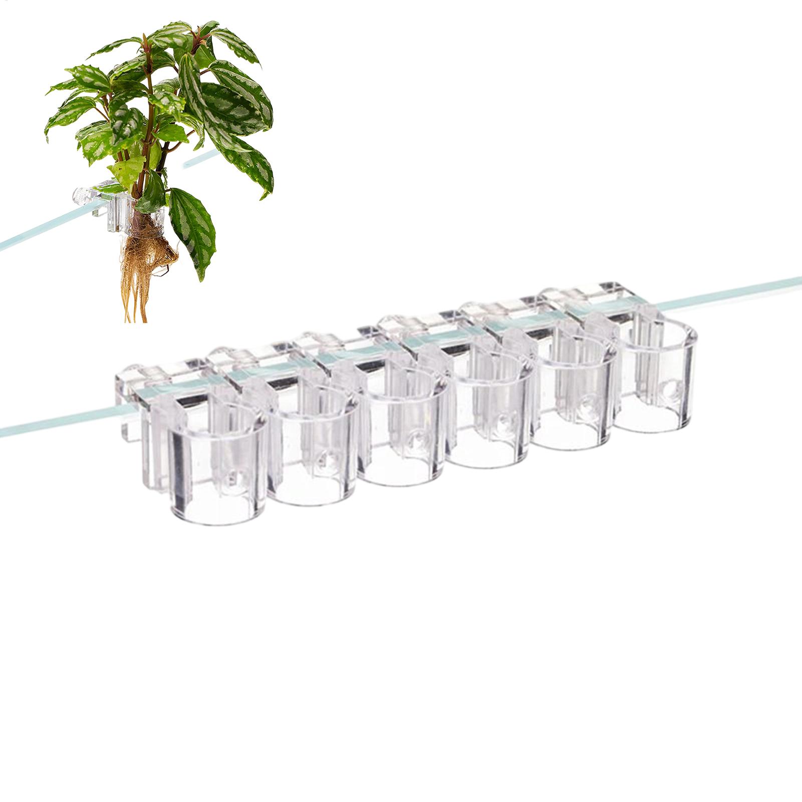 Aquarium Fish Feeder - กระถางปลูกต้นไม้ในตู้ปลาขนาดเล็ก 6 ชิ้น ที่วางต้นไม้ในตู้ปลา ถ้วยรองรับต้นไม้ในตู้ปลา ที่ให้อาหารปลาในตู้ปลา