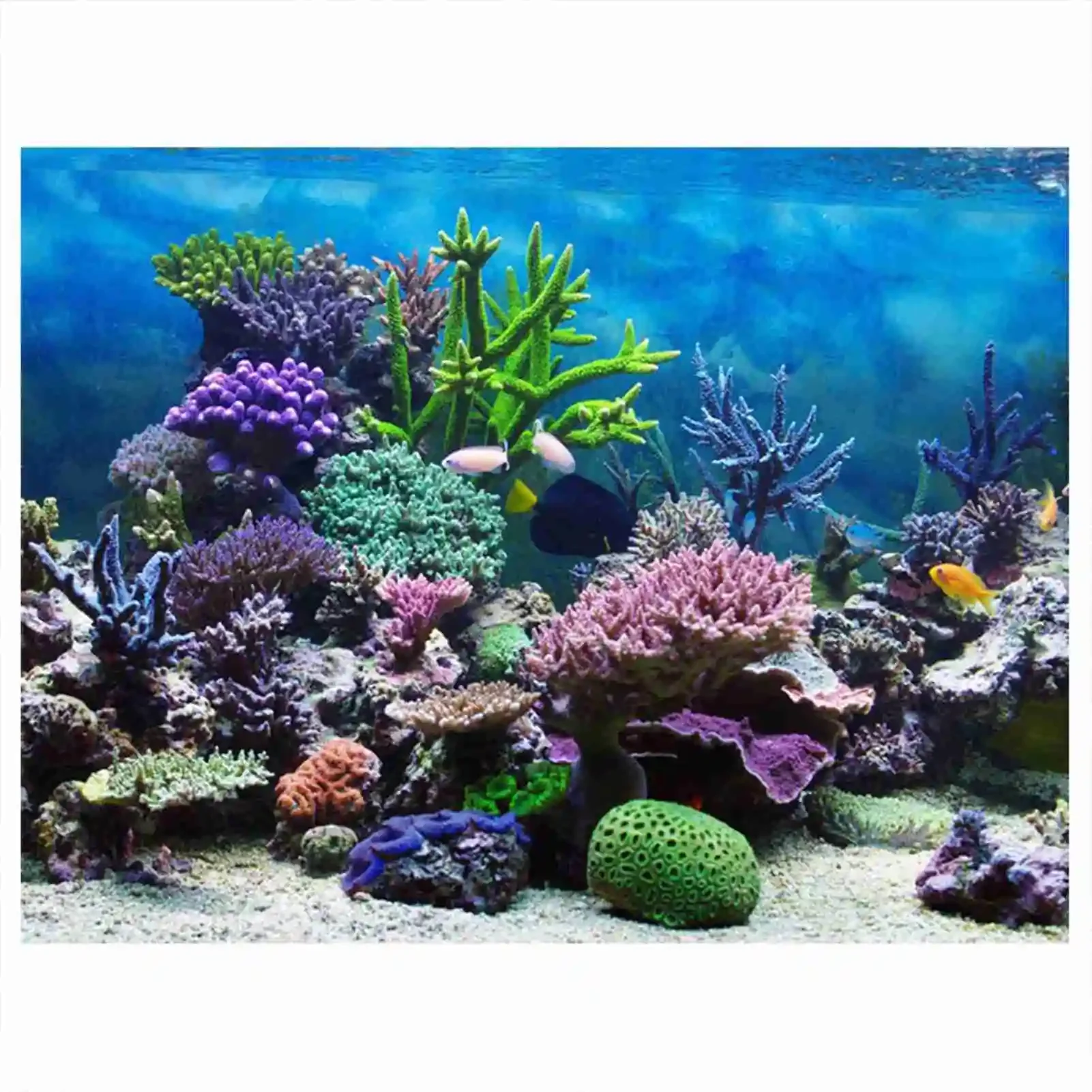 Aquarium Fish Wallpaper - โปสเตอร์แนวนอนลายพิพิธภัณฑ์สัตว์น้ำ3D วอลเปเปอร์ลายป่าฝนตกแต่งพื้นหลังตู้ปลาด้วย PVC มีกาวในตัวสติกเกอร์ฉากหลังแบบ HD