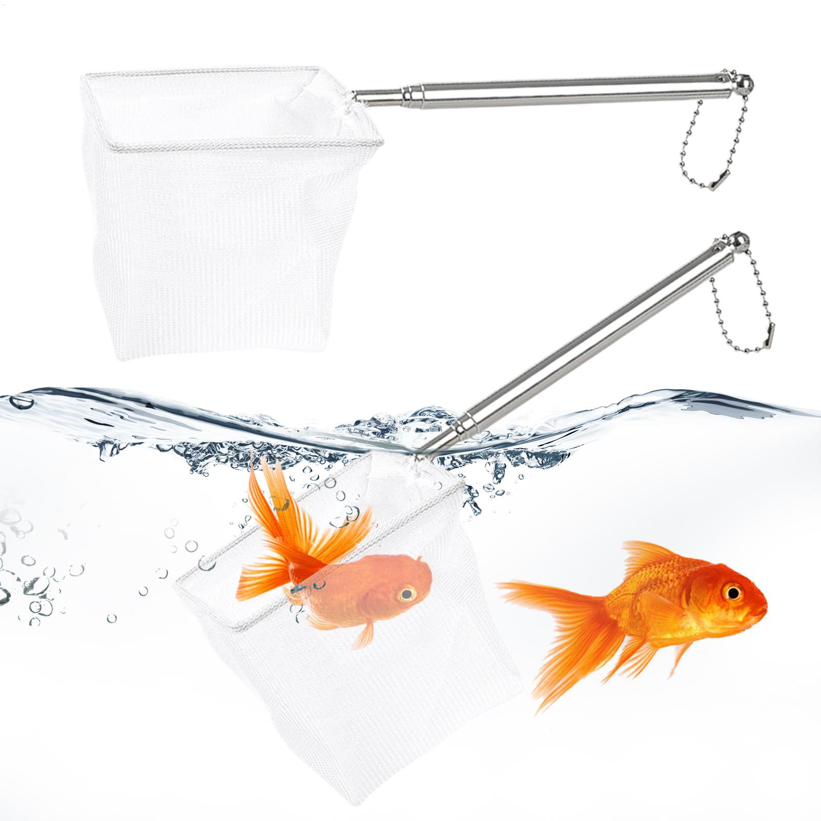 Fish Net Handle - ชุดอุปกรณ์ตกปลา 2 ชิ้น ตาข่ายดักปลาขนาดเล็ก ด้ามจับยืดหดได้ ทำจากสแตนเลส