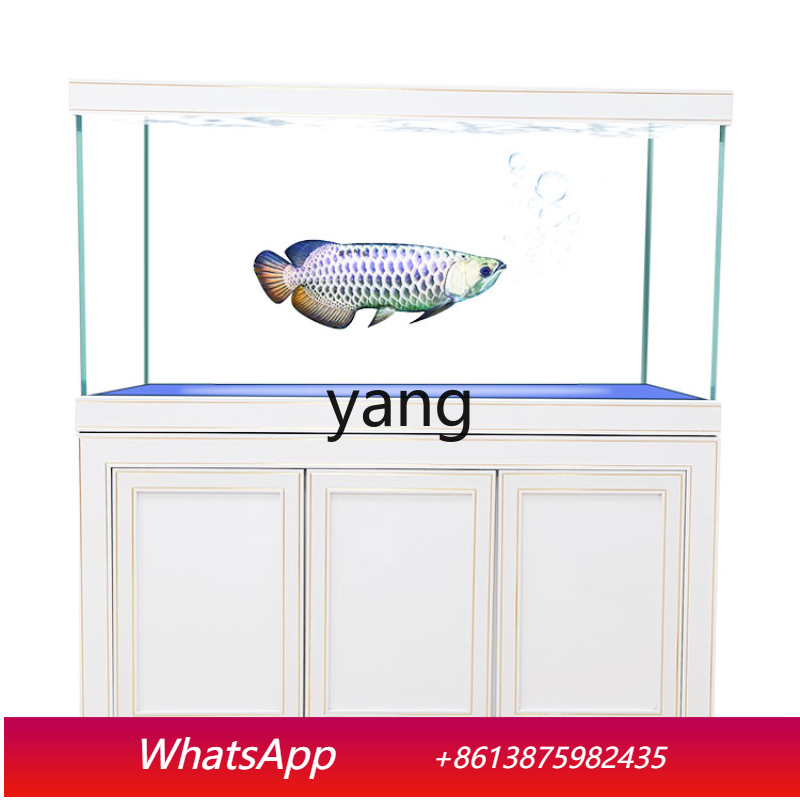 Aquarium Fish Dragon - ตู้ปลาทรงสูงขนาดกลางและใหญ่ รุ่น LH Super White Glass