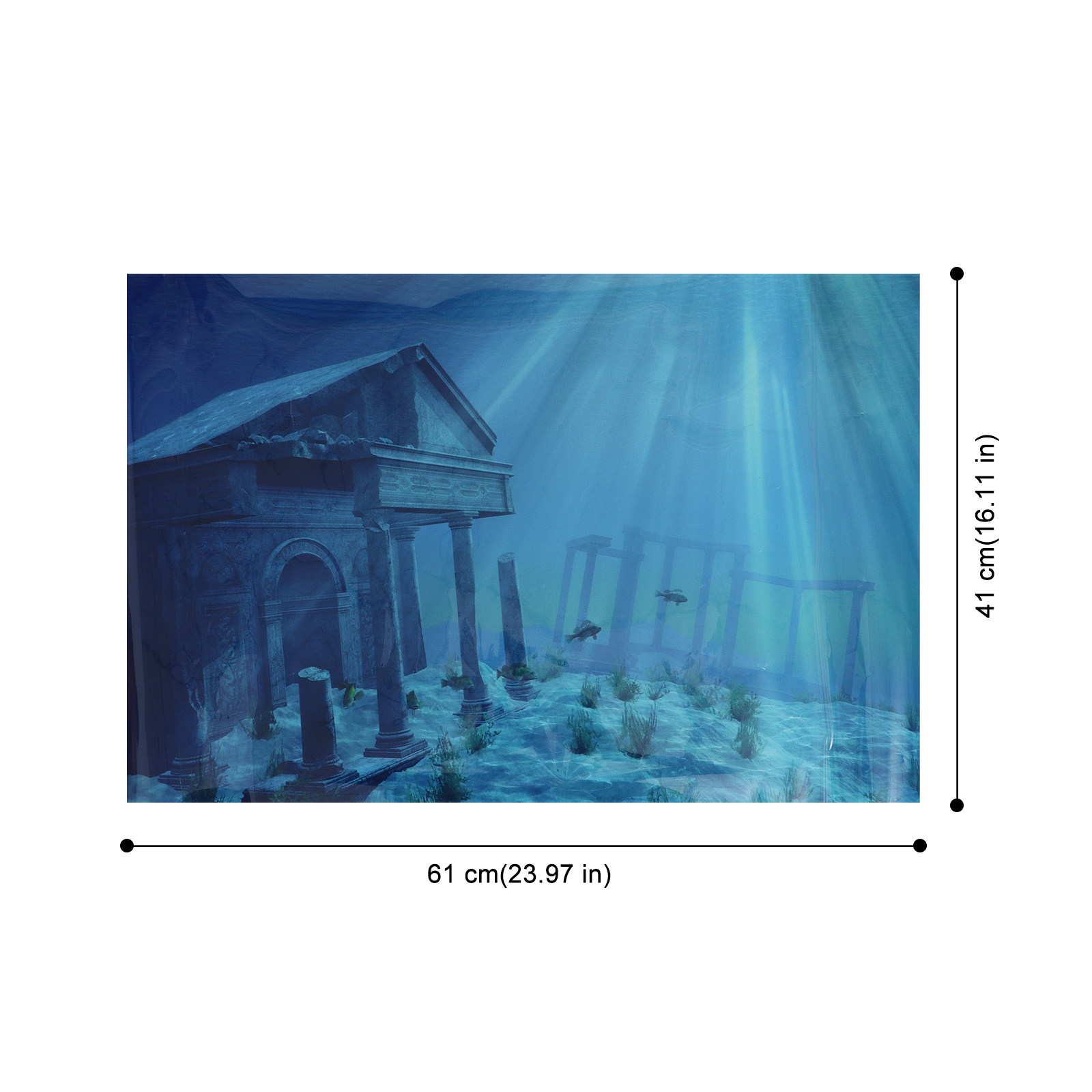 วอลเปเปอร์ตู้ปลา โปสเตอร์ตกแต่ - Aquarium Fish Wallpaper บทวิจารณ์และราคา