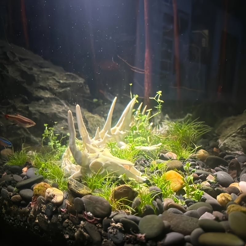 ของตกแต่งตู้ปลา รูปกระดูกมังกร - Aquarium Fish Dragon บทวิจารณ์และราคา