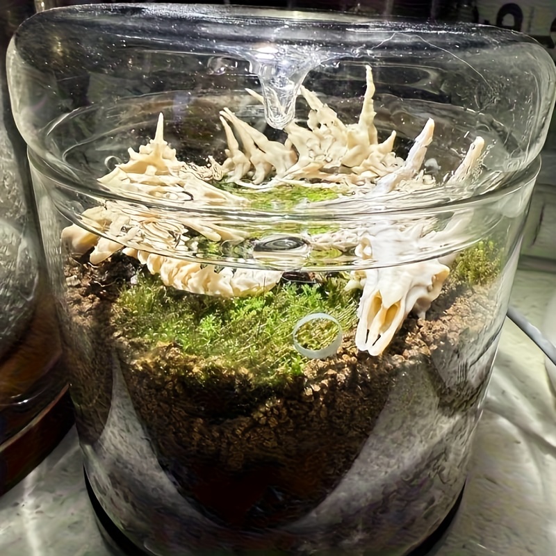 ของตกแต่งตู้ปลา รูปกระดูกมังกร - Aquarium Fish Dragon บทวิจารณ์และราคา