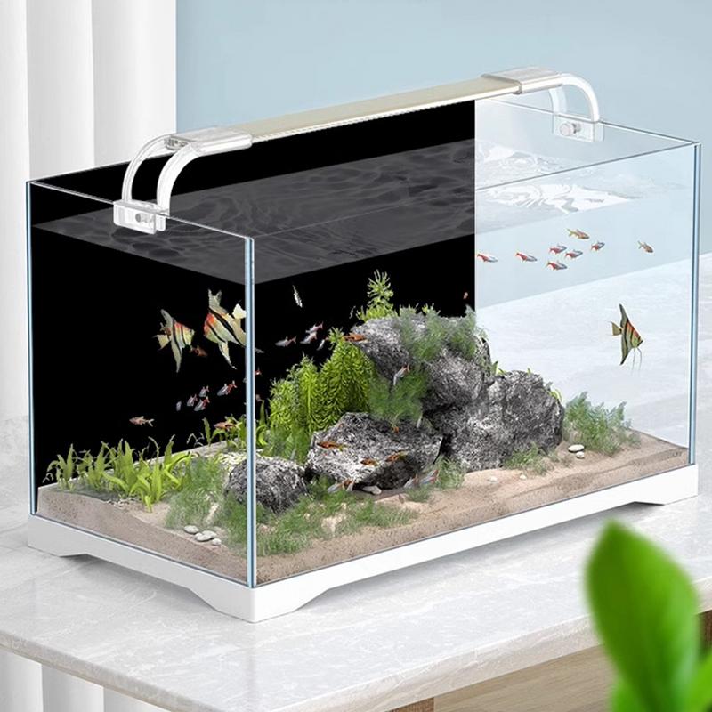 Aquarium วอลล์เปเปอร์สีดํา Aqu - Aquarium Fish Wallpaper บทวิจารณ์และราคา