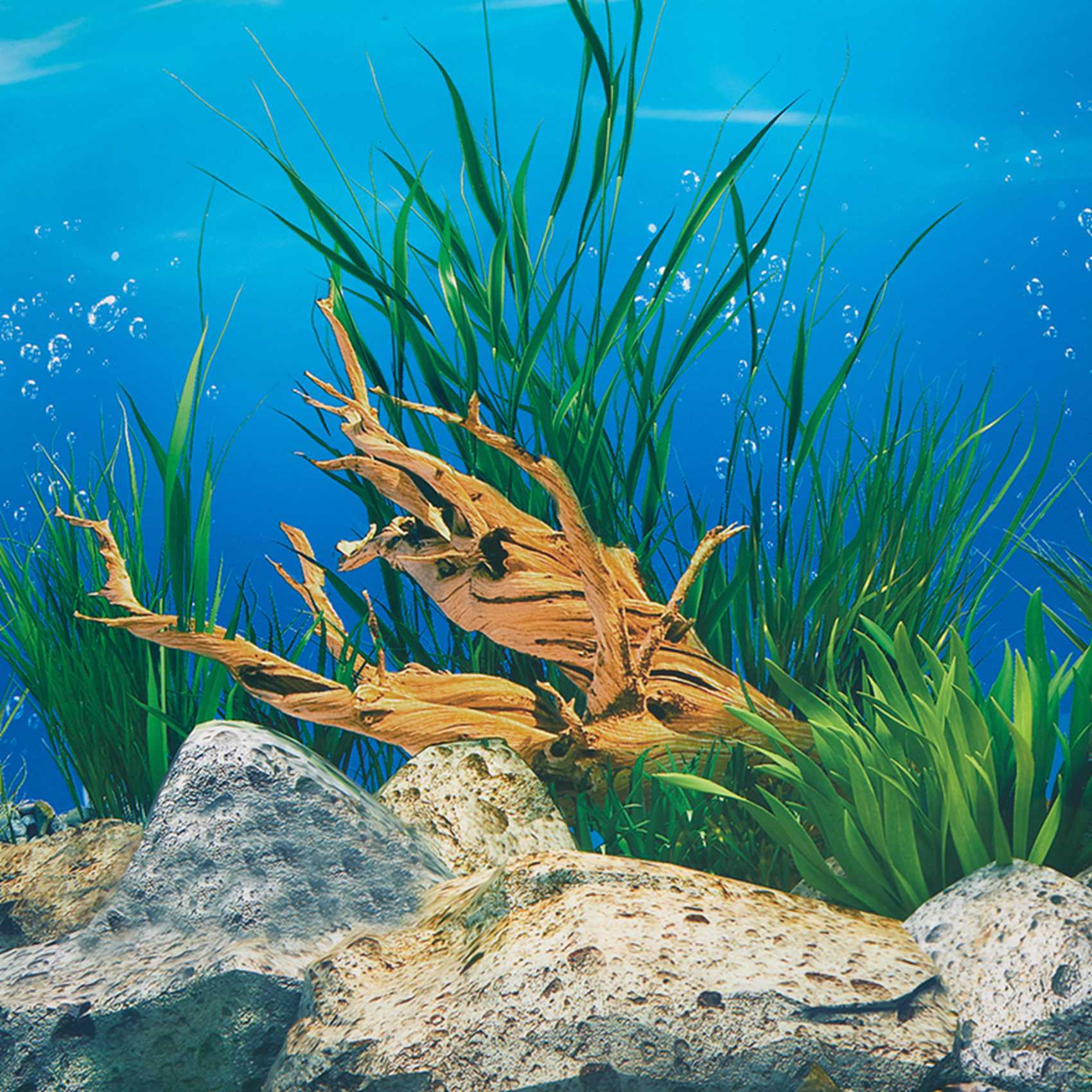 ABWR-กระดาษพื้นหลังตู้ปลา ภาพ  - Aquarium Fish Wallpaper บทวิจารณ์และราคา