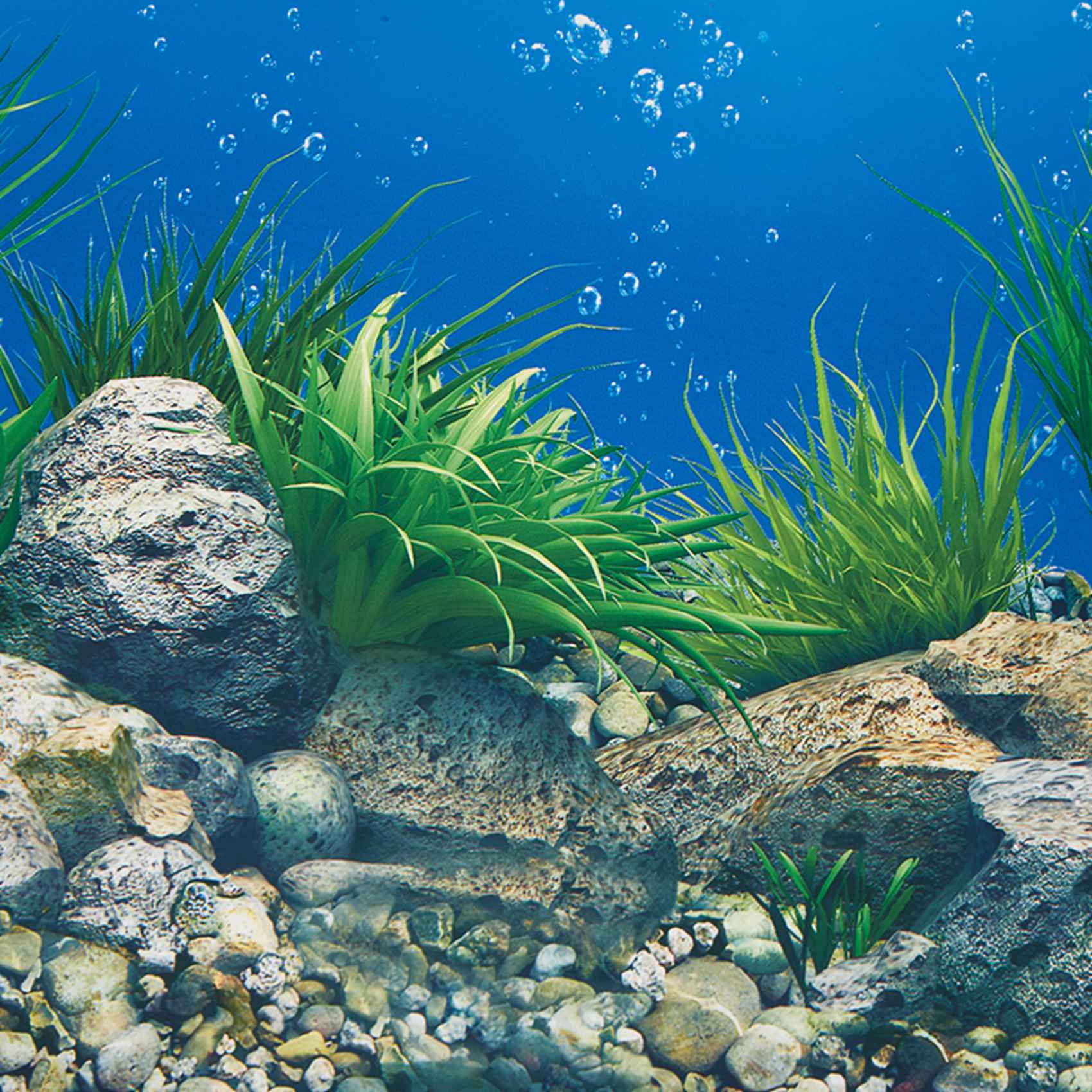 ABWR-กระดาษพื้นหลังตู้ปลา ภาพ  - Aquarium Fish Wallpaper บทวิจารณ์และราคา