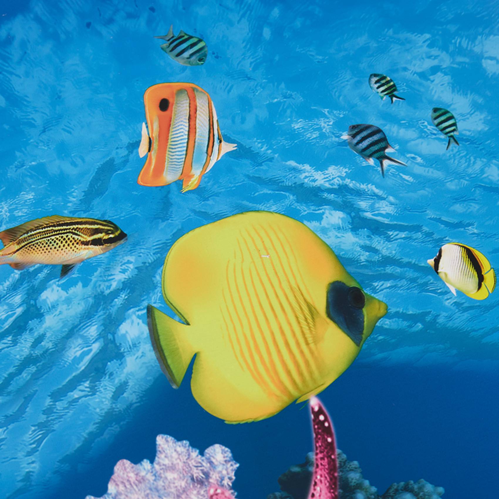 ABWR-กระดาษพื้นหลังตู้ปลา ภาพ  - Aquarium Fish Wallpaper บทวิจารณ์และราคา