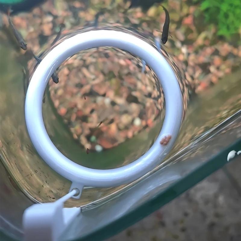 ชุดอุปกรณ์ป้อนอาหารปลาแบบวงแหว - Aquarium Fish Feeder บทวิจารณ์และราคา