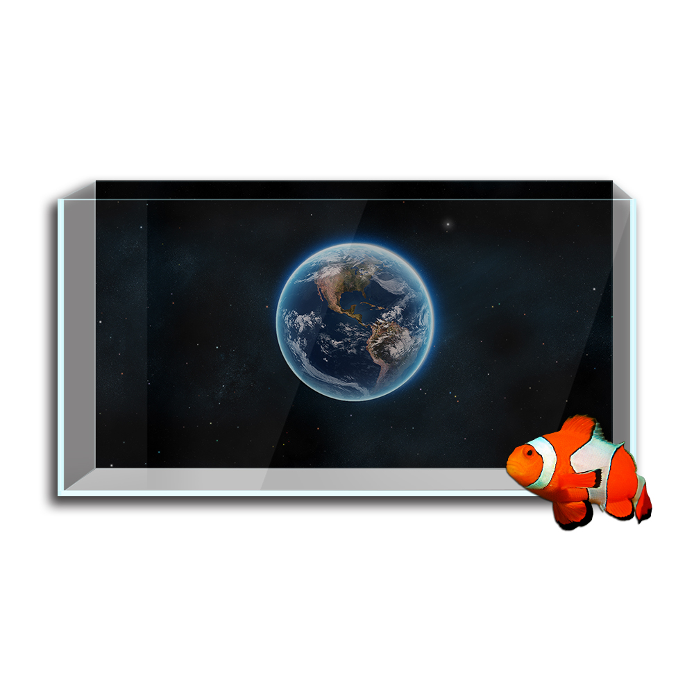 Aquarium Fish Tank สติ๊กเกอร์ต - Aquarium Fish Wallpaper บทวิจารณ์และราคา