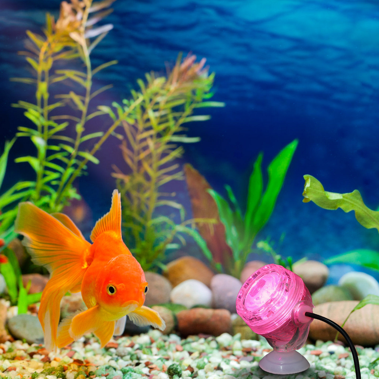 ไฟ LED ขนาดเล็กสำหรับตู้ปลา กั - Aquarium Fish Rainbow บทวิจารณ์และราคา