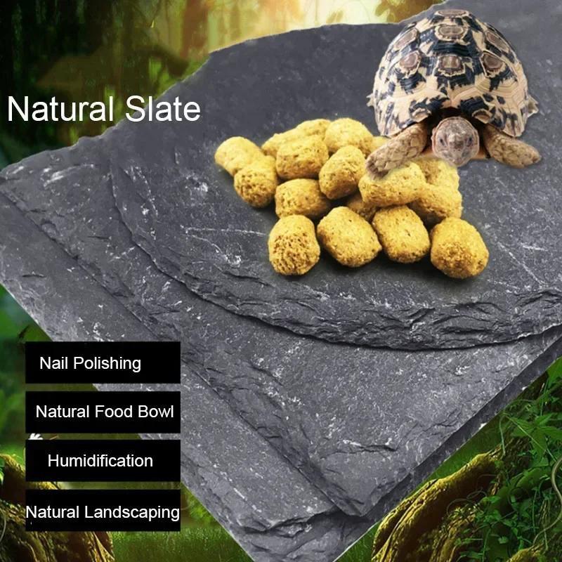 ชามอาหารสัตว์เลี้ยงสัตว์เลื้อย - Aquarium Fish Feeder บทวิจารณ์และราคา