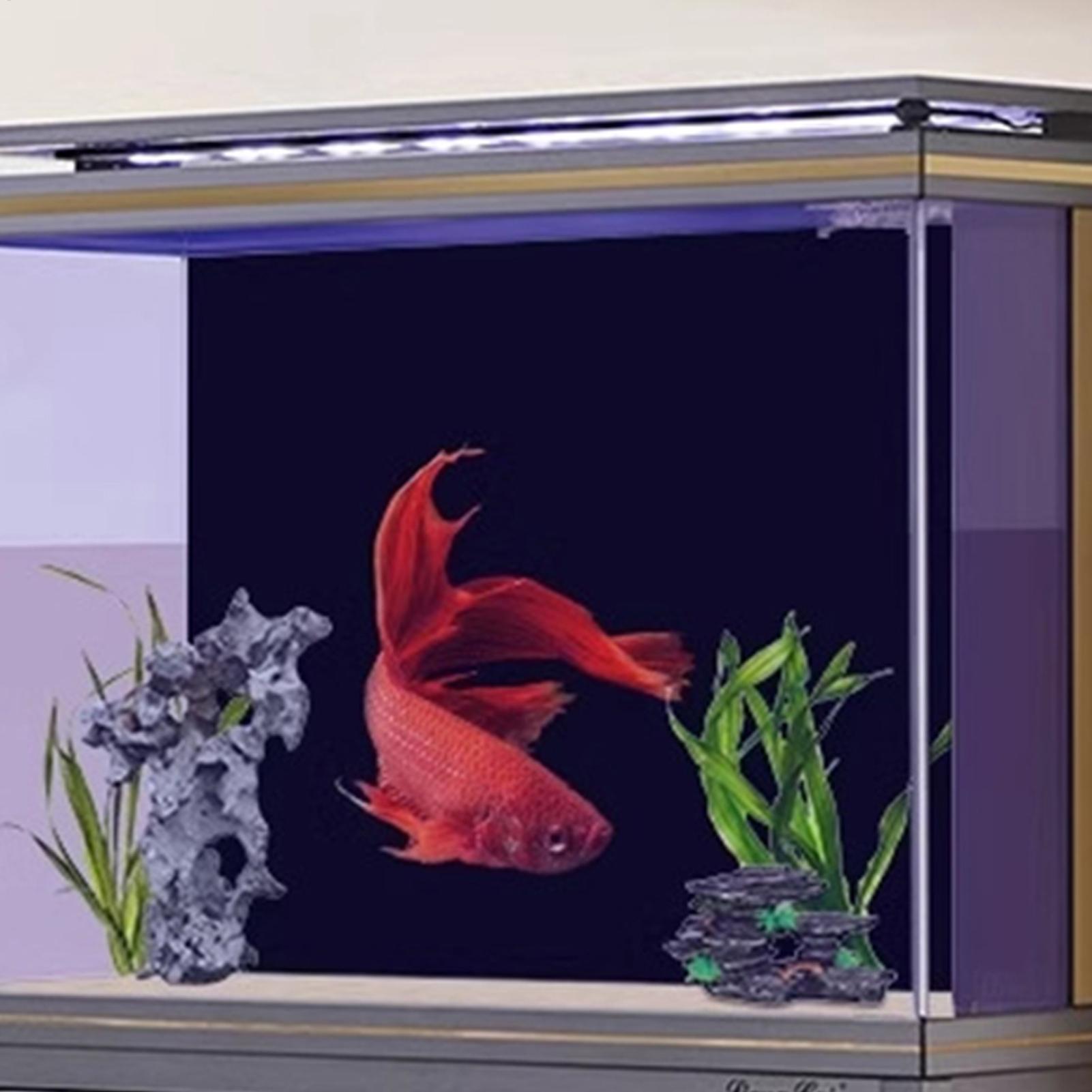 ฉากหลังตู้ปลาแบบติดด้วยไฟฟ้า ล - Aquarium Fish Wallpaper บทวิจารณ์และราคา