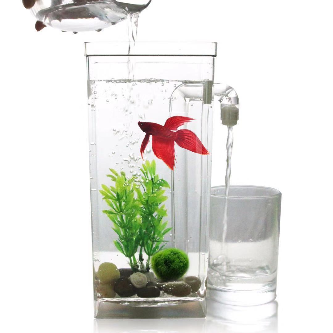 ขี้เกียจฟรีเปลี่ยน Desktop Fis - Aquarium Fish Goldfish บทวิจารณ์และราคา