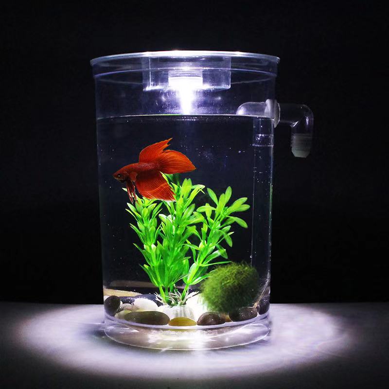 ขี้เกียจฟรีเปลี่ยน Desktop Fis - Aquarium Fish Goldfish บทวิจารณ์และราคา