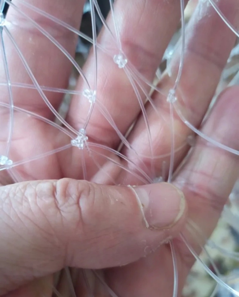 53/60/85 ซม.สายตกปลาสุทธิไม่มี - Fish Net Handle บทวิจารณ์และราคา
