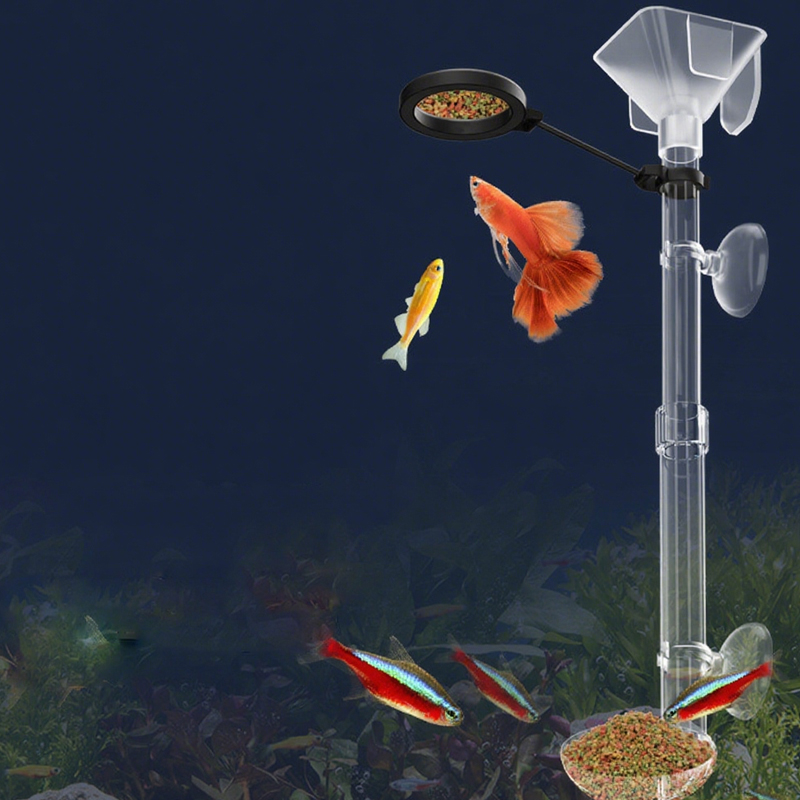 อะคริลิค Aquarium Fish Feeder  - Aquarium Fish Feeder บทวิจารณ์และราคา