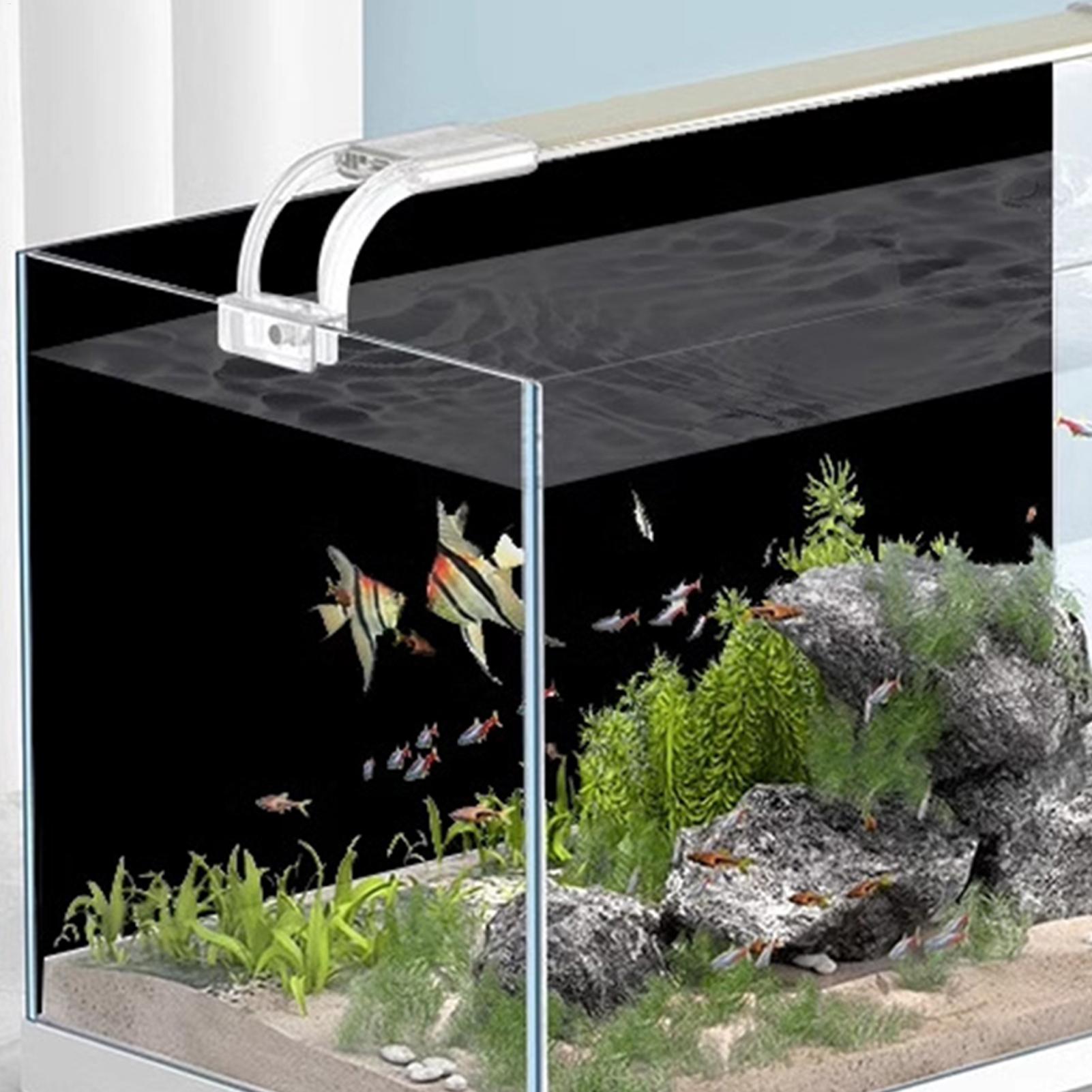 ฉากหลังตู้ปลาสีดำแบบติดด้วยไฟฟ - Aquarium Fish Wallpaper บทวิจารณ์และราคา