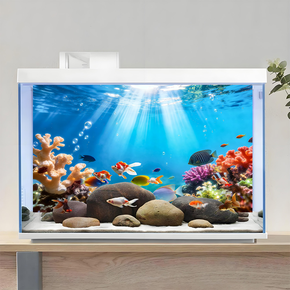 ปะการังสีรุ้ง, ภาพวาดพื้นหลังต - Aquarium Fish Rainbow บทวิจารณ์และราคา
