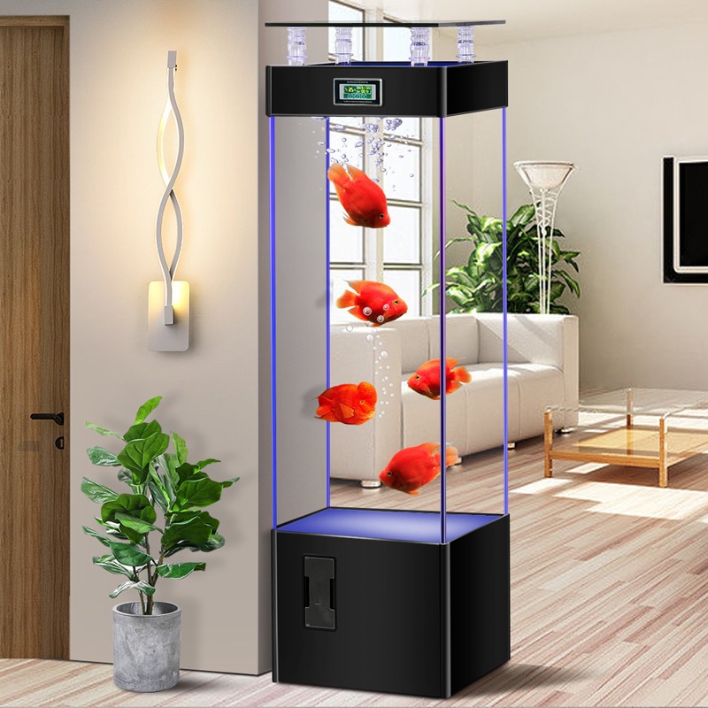 ตู้ปลากระจกใสพิเศษ ไม่ต้องเปลี - Aquarium Fish Goldfish บทวิจารณ์และราคา