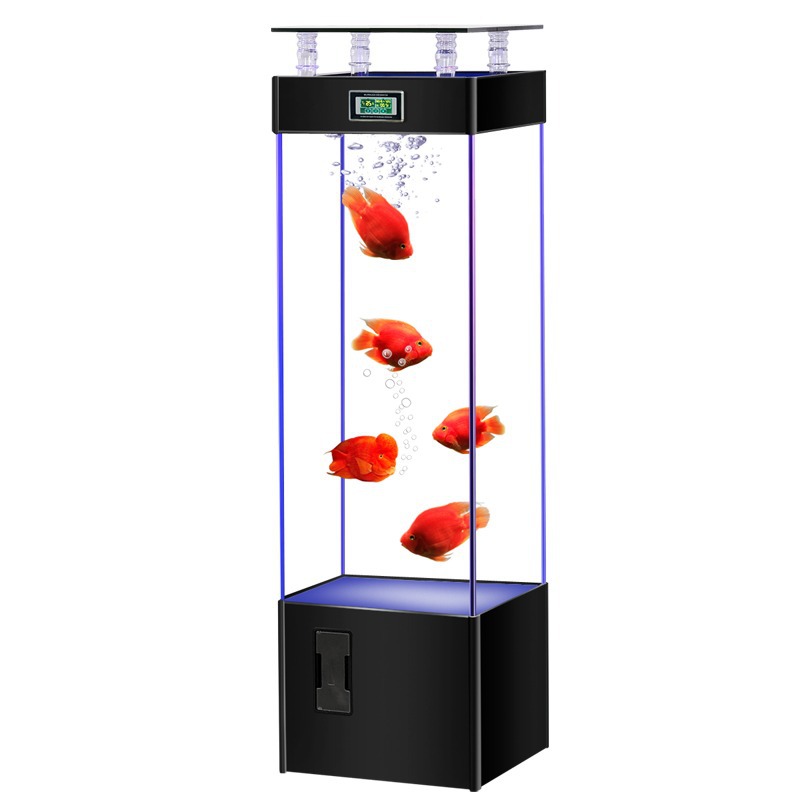 ตู้ปลากระจกใสพิเศษ ไม่ต้องเปลี - Aquarium Fish Goldfish บทวิจารณ์และราคา