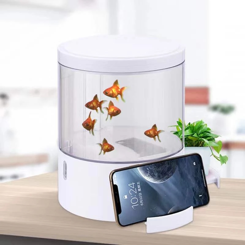 รอบไฟสีสันสดใสเดสก์ท็อปถังปลา  - Aquarium Fish Goldfish บทวิจารณ์และราคา