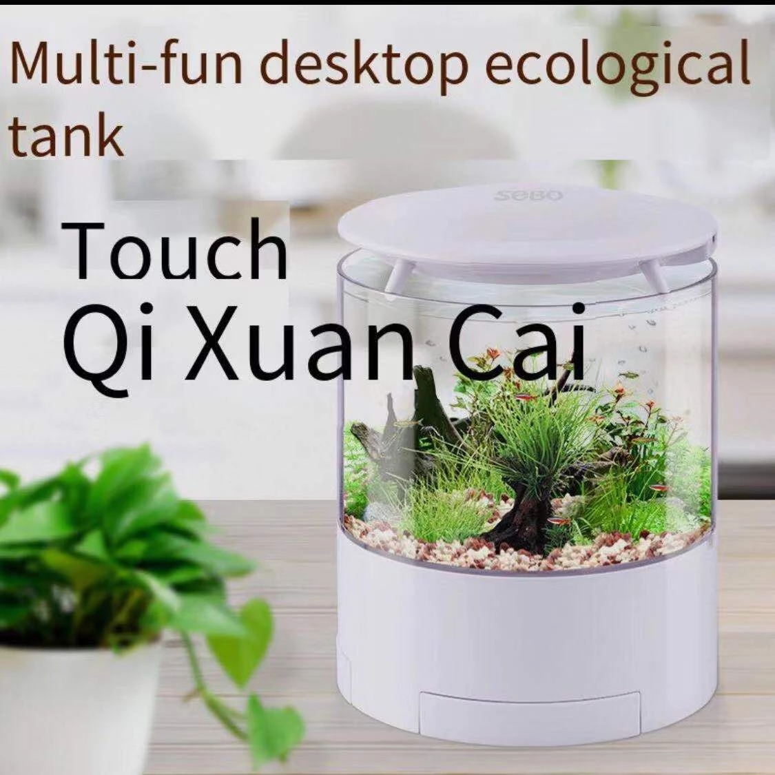 รอบไฟสีสันสดใสเดสก์ท็อปถังปลา  - Aquarium Fish Goldfish บทวิจารณ์และราคา