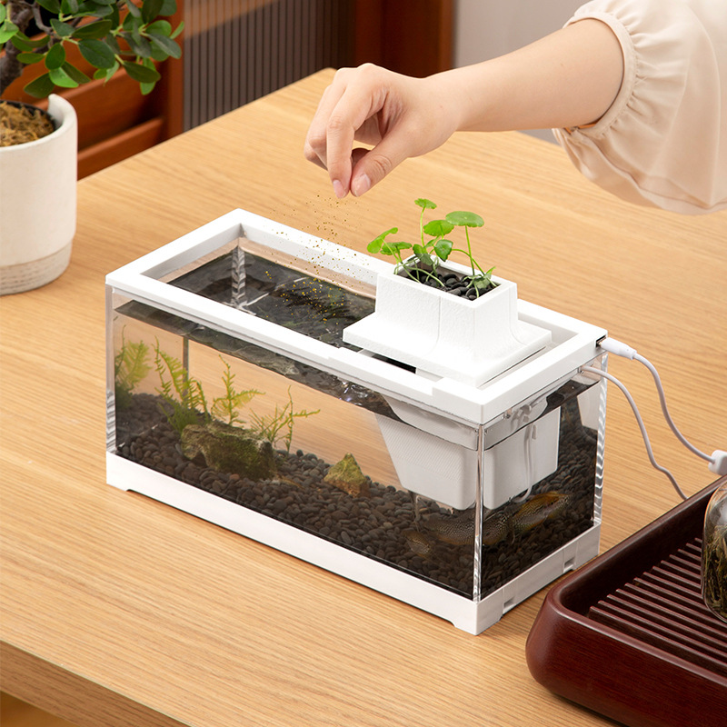 ชุดตู้ปลาพร้อมปั๊มน้ำ แผ่นทำคว - Aquarium Fish Goldfish บทวิจารณ์และราคา