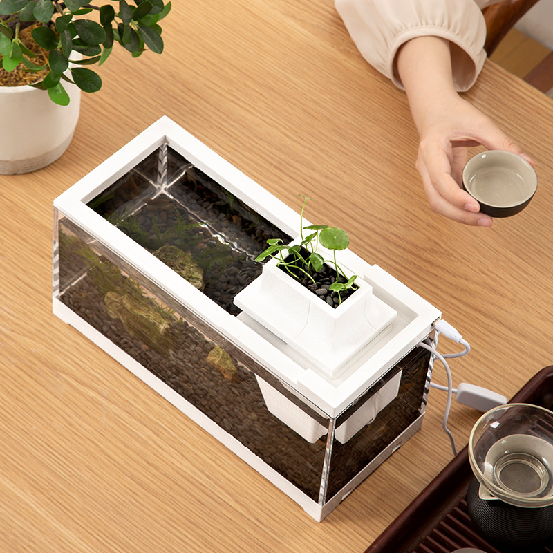 ชุดตู้ปลาพร้อมปั๊มน้ำ แผ่นทำคว - Aquarium Fish Goldfish บทวิจารณ์และราคา