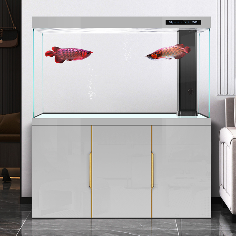 ตู้ปลาห้องนั่งเล่น ปี 2025 ตู้ - Aquarium Fish Dragon บทวิจารณ์และราคา