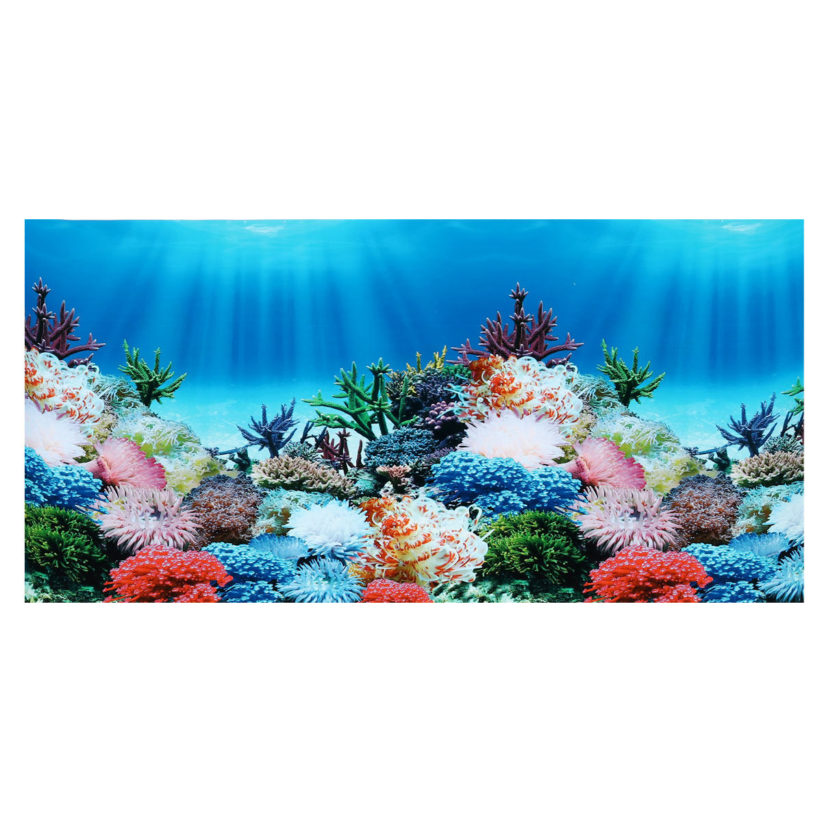 สติ๊กเกอร์ติดผนังสองด้านลายภาพ - Aquarium Fish Wallpaper บทวิจารณ์และราคา