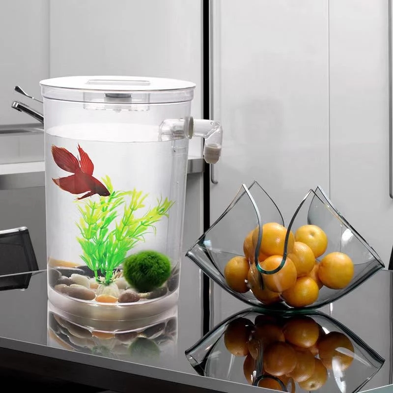 ขี้เกียจฟรีเปลี่ยนน้ําเดสก์ท็อ - Aquarium Fish Goldfish บทวิจารณ์และราคา