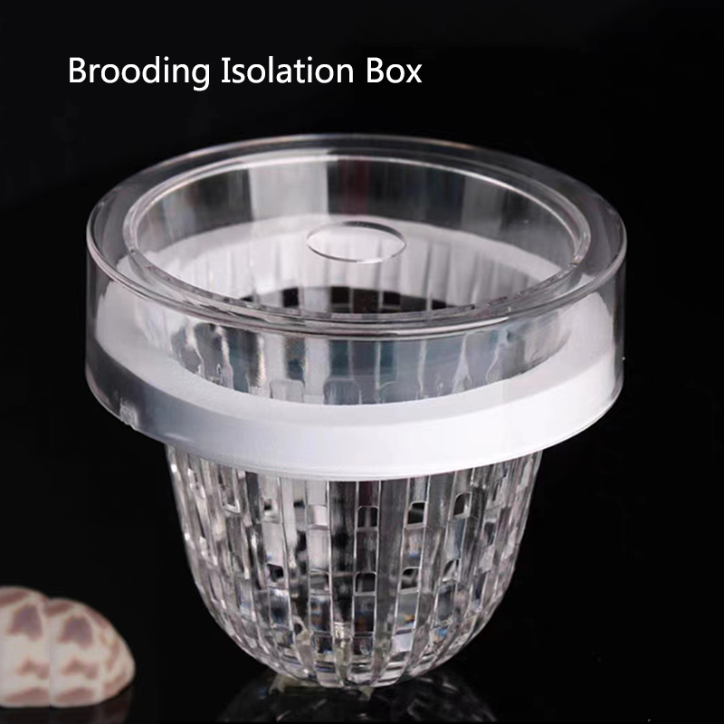กล่องอะคริลิคลอยน้ำสำหรับเพาะพ - Aquarium Fish Feeder บทวิจารณ์และราคา
