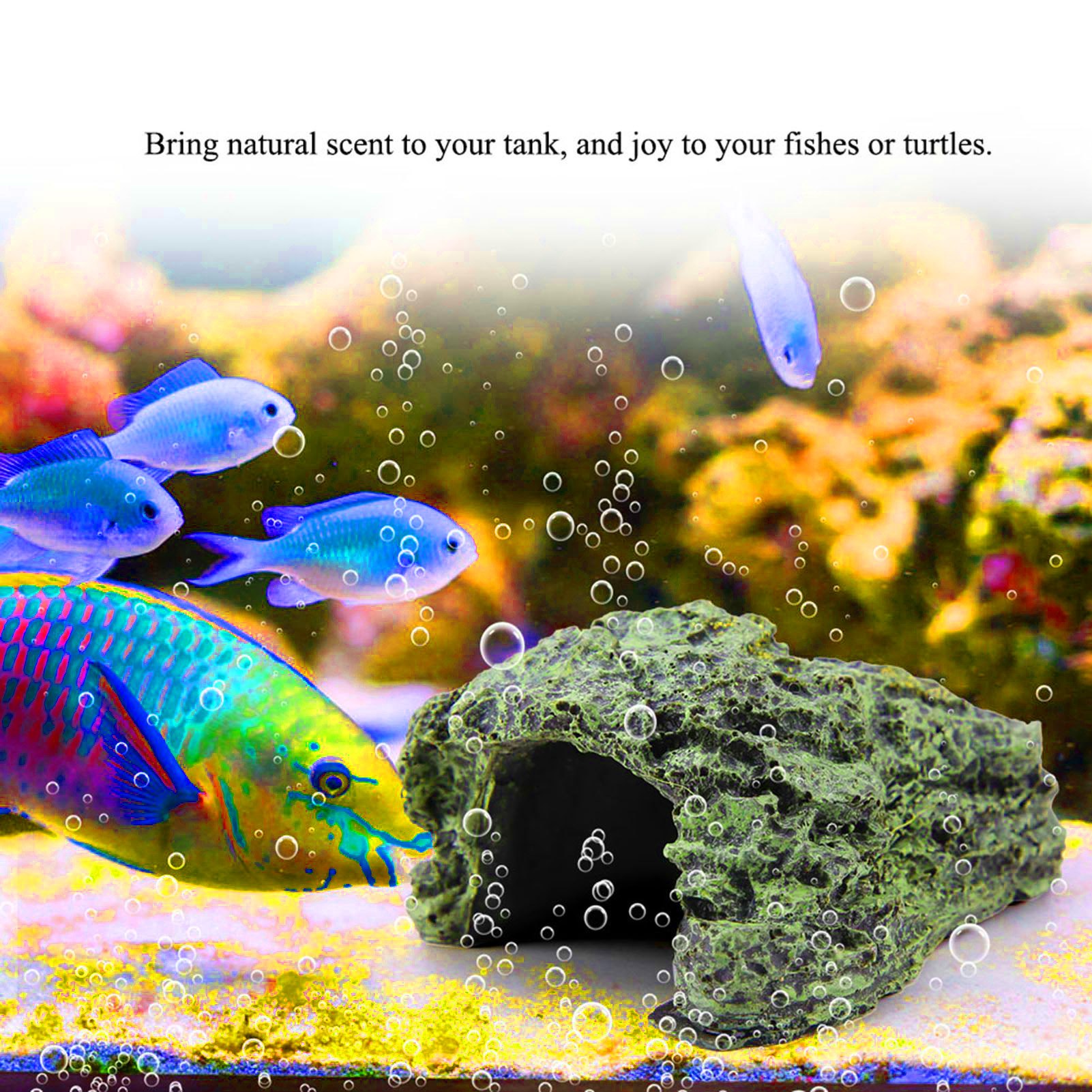 ถ้ำซ่อนตัวสำหรับสัตว์เลื้อยคลา - Aquarium Fish Hide บทวิจารณ์และราคา