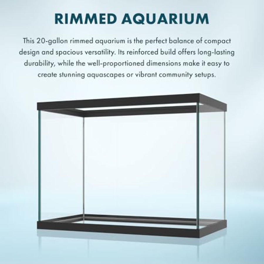 ตู้ปลาแก้วขนาด 20 แกลลอน - 24  - Aquarium Fish Goldfish บทวิจารณ์และราคา