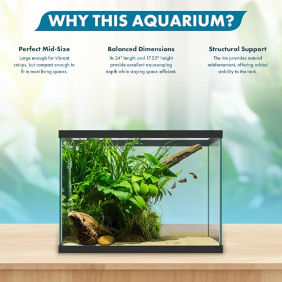 ตู้ปลาแก้วขนาด 20 แกลลอน - 24  - Aquarium Fish Goldfish บทวิจารณ์และราคา