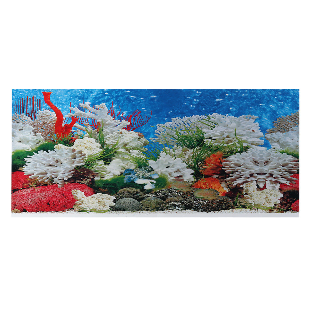 สติ๊กเกอร์ติดผนังตู้ปลาขนาด 42 - Aquarium Fish Wallpaper บทวิจารณ์และราคา