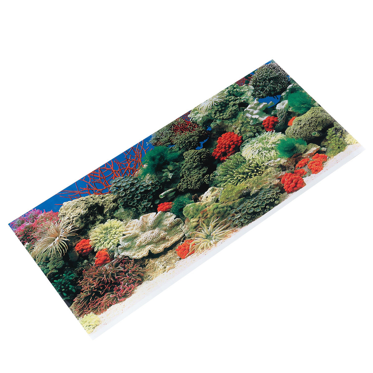 สติ๊กเกอร์ติดผนังตู้ปลาขนาด 42 - Aquarium Fish Wallpaper บทวิจารณ์และราคา