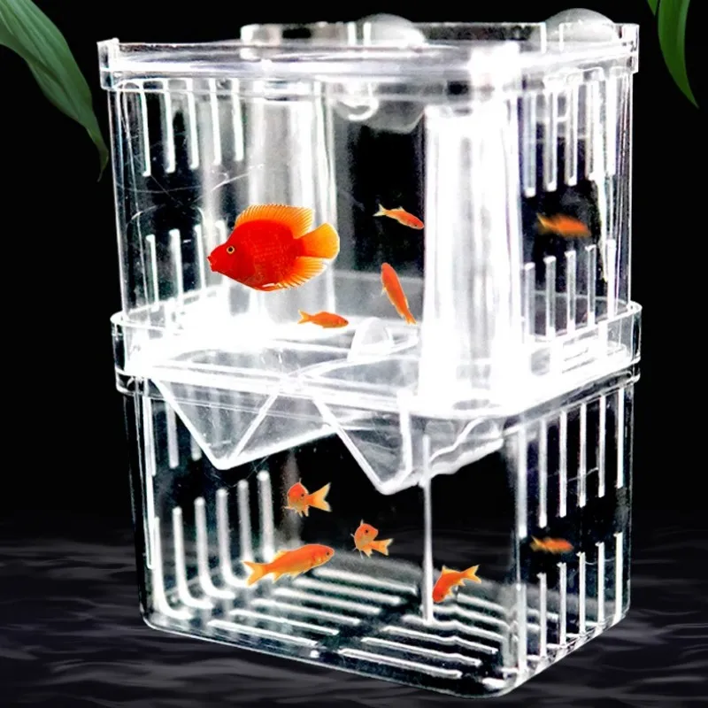 Fish Breeding กล่องแยก S/L/XL  - Xl Aquarium Fish บทวิจารณ์และราคา