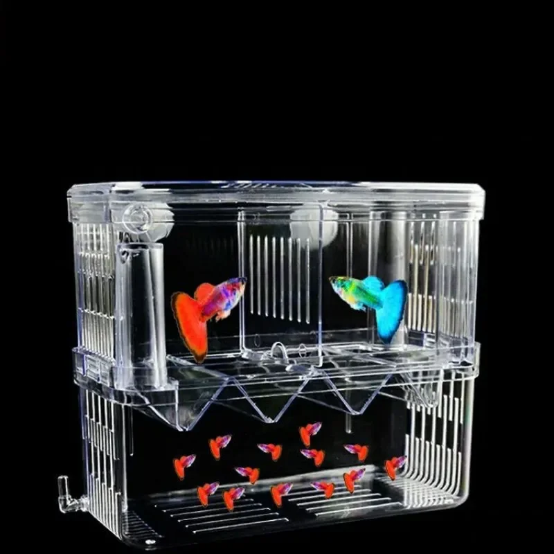 Fish Breeding กล่องแยก S/L/XL  - Xl Aquarium Fish บทวิจารณ์และราคา