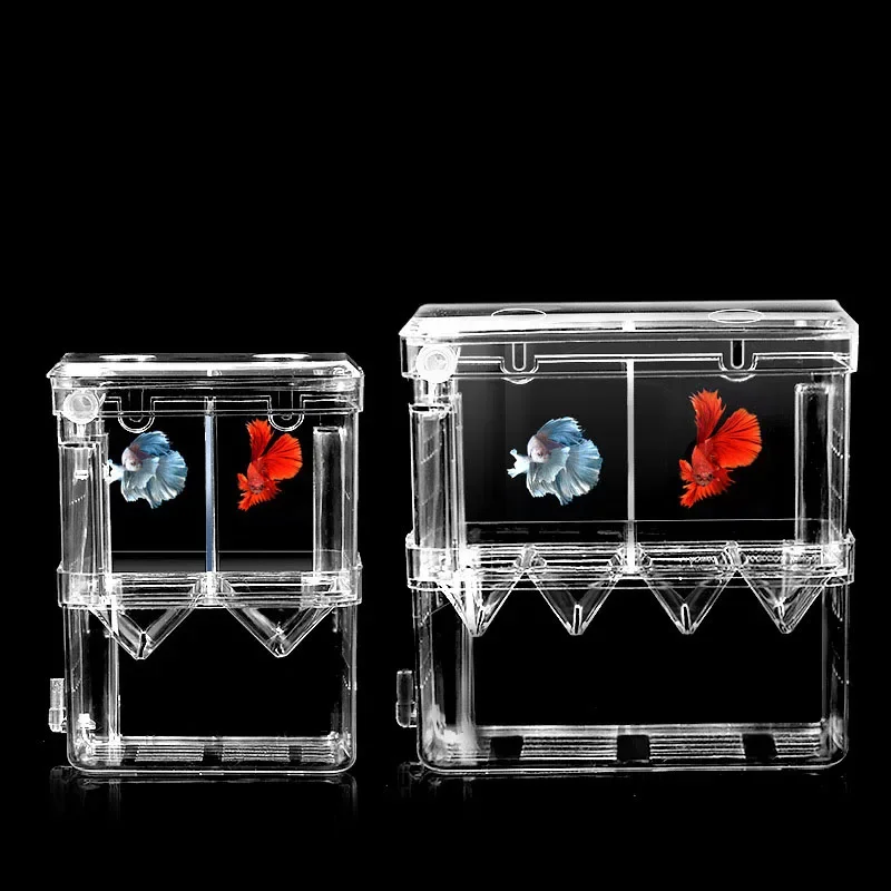 Fish Breeding กล่องแยก S/L/XL  - Xl Aquarium Fish บทวิจารณ์และราคา