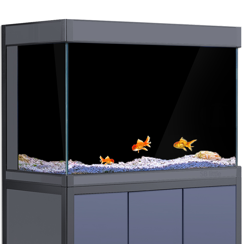 ฉากหลังตู้ปลาแบบติดด้วยไฟฟ้า ส - Aquarium Fish Wallpaper บทวิจารณ์และราคา