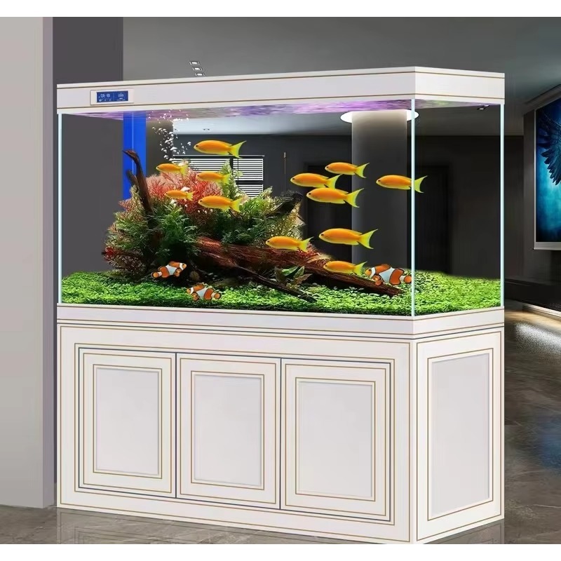 ตู้ปลาห้องนั่งเล่น ตู้ปลาบ้าน  - Aquarium Fish Dragon บทวิจารณ์และราคา