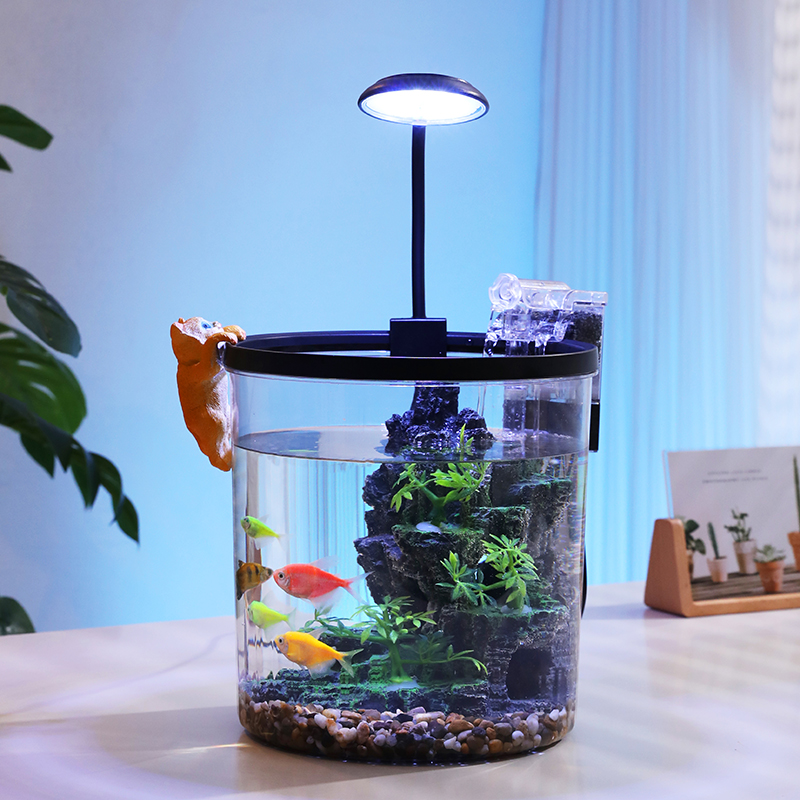 ตู้ปลาทรงกลมขนาดเล็กสีทอง - ระ - Aquarium Fish Goldfish บทวิจารณ์และราคา