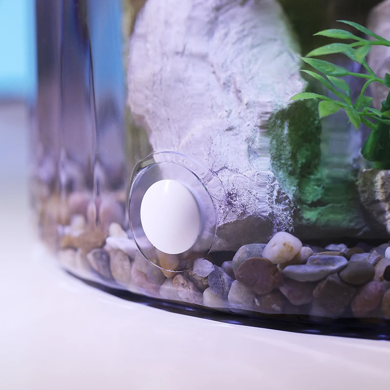 ตู้ปลาทรงกลมขนาดเล็กสีทอง - ระ - Aquarium Fish Goldfish บทวิจารณ์และราคา