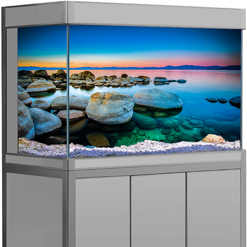 สติ๊กเกอร์ติดฉากหลังตู้ปลา ลาย - Aquarium Fish Wallpaper บทวิจารณ์และราคา