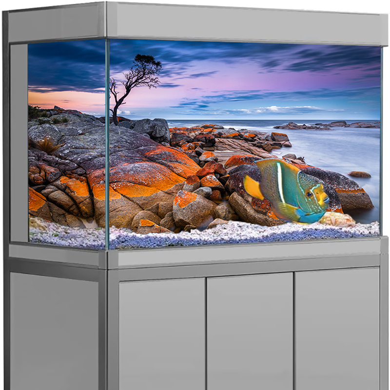 สติ๊กเกอร์ติดฉากหลังตู้ปลา ลาย - Aquarium Fish Wallpaper บทวิจารณ์และราคา