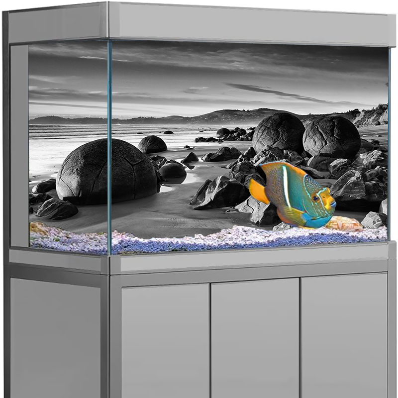 สติ๊กเกอร์ติดฉากหลังตู้ปลา ลาย - Aquarium Fish Wallpaper บทวิจารณ์และราคา